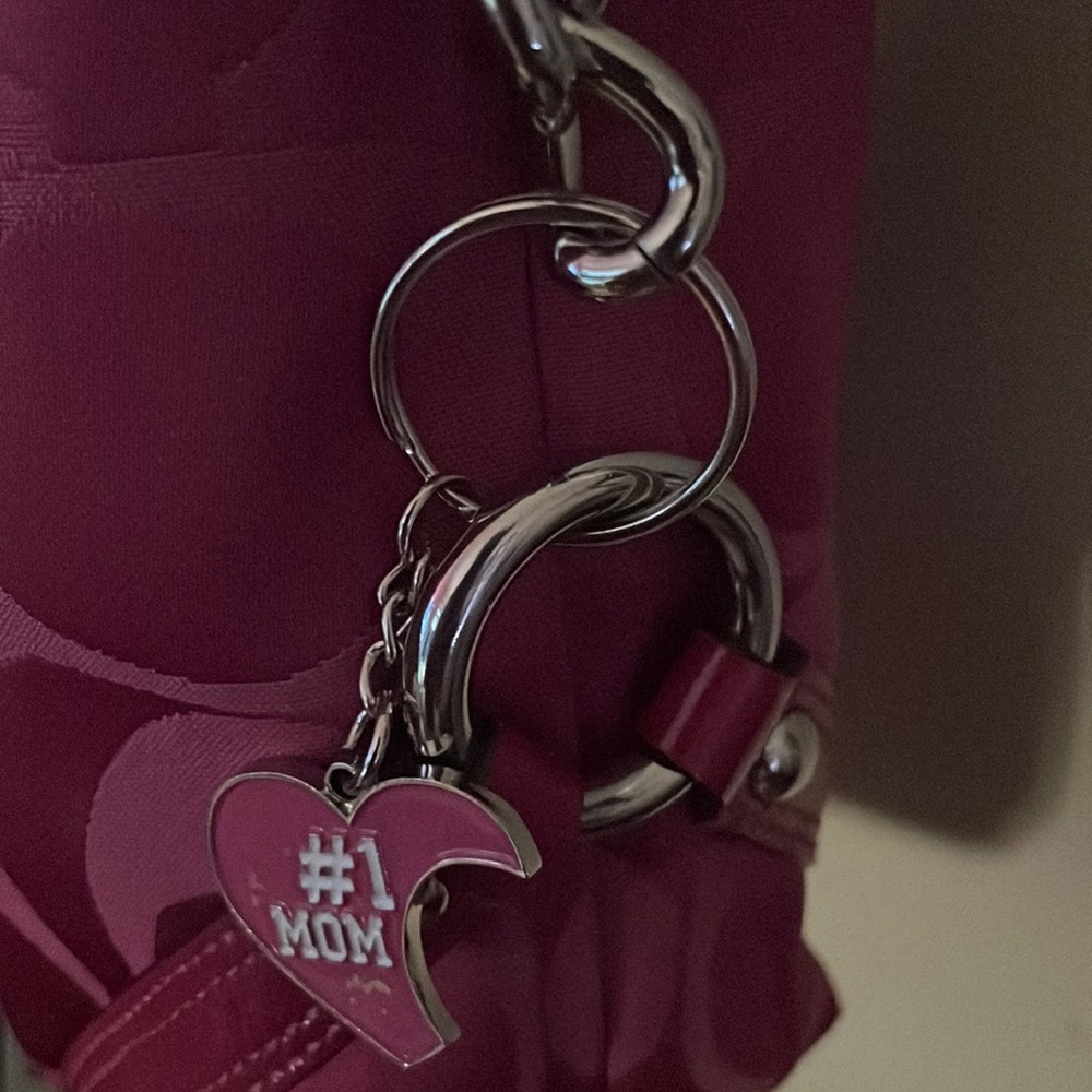 Picture of the broken chain, I fixed it with a keychain.